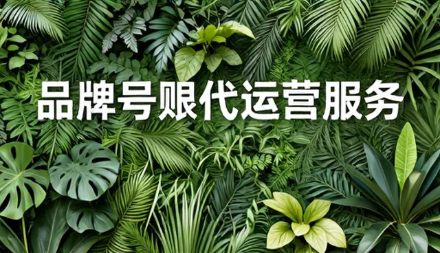 影视策划项目中运营策略的常见误区与应对措施